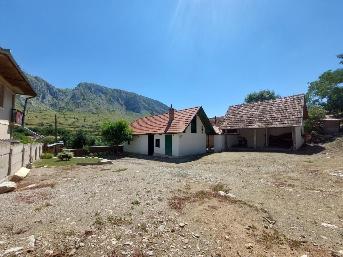 Felix Haz Villa Rimetea Exterior foto